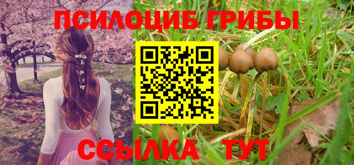 Псилоцибиновые грибы Psilocybine cubensis  Псилоцибиновые грибы мицелий  Усолье-Сибирское  Вход с VPN 