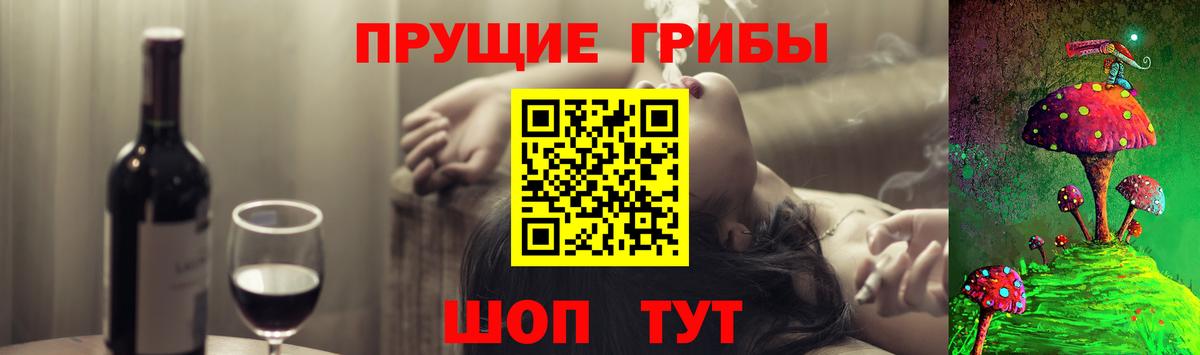 Псилоцибиновые грибы Psilocybine cubensis Усолье-Сибирское