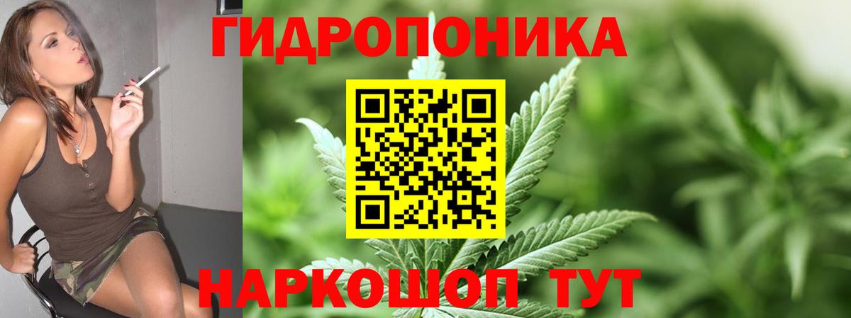 МАРИХУАНА планчик Усолье-Сибирское